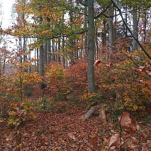 VěrkaN na vrcholu Vlčí vrch (29.10.2022 13:49)