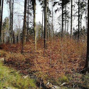 Vladimír Grančay on the summit of Ořechovka (12.11.2022 10:53)