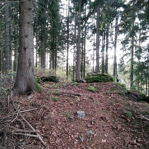 Badger na vrcholu Kamenáč (29.10.2022 16:31)