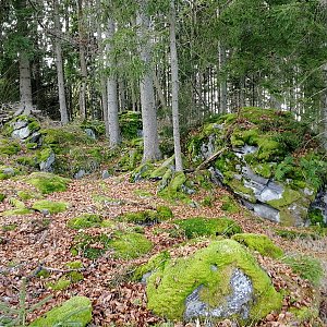Vladimír Grančay na vrcholu Kamenáč (12.11.2022 10:26)