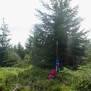 Mountainer na vrcholu Plešivec - V vrchol (19.8.2020 12:44)