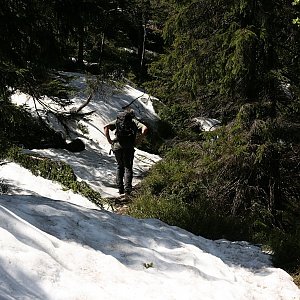 Bouřka on the summit of Plešivec V (30.5.2019 10:58)