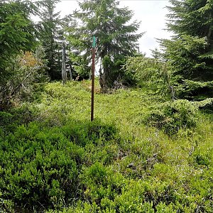Vladimír Grančay on the summit of Plešivec V (7.7.2019 12:42)