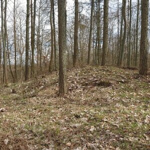 Nojby on the summit of Bučina (16.3.2024 14:01)