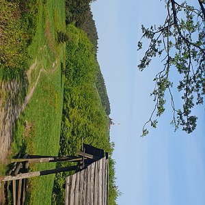 Peťulik na vrcholu Radhošť (28.5.2023 16:36)