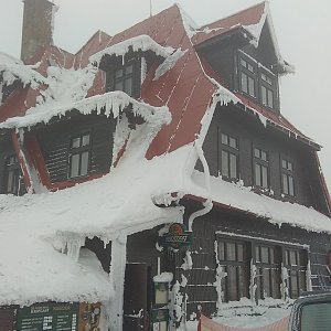 Gabča na vrcholu Radhošť (26.1.2019 10:07)