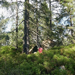 Mountainer na vrcholu Janova skála - SZ vrchol (19.8.2020 16:45)