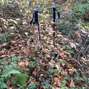 Radka D na vrcholu Doubrava (17.11.2023 14:38)