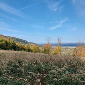Ila na vrcholu Godula JZ vrchol (17.10.2024)