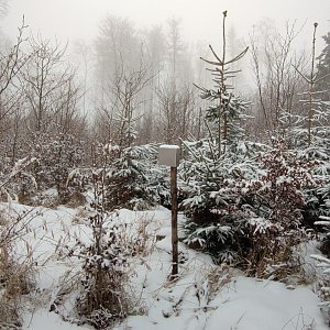 michalzhor on the summit of Holíkov (29.12.2021 21:48)