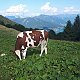 Jarka Konečná na vrcholu Faistenauer Schafberg (5.8.2019 0:00)