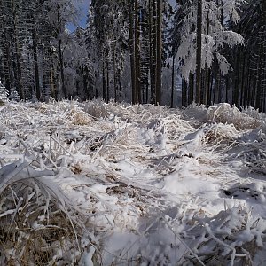 Petra na vrcholu Bílý kámen (12.2.2021 13:41)