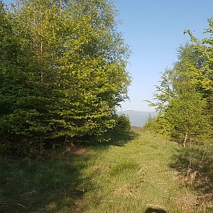 JezMax na vrcholu Čerchla (15.5.2022 18:26)