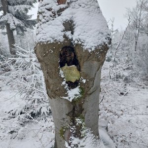 Ila on the summit of Čerchla (6.2.2025)