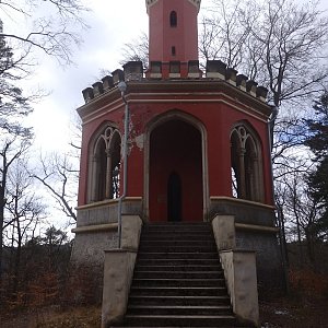 Nojby na vrcholu Jižní (Hamerský) vrch (20.3.2021 13:39)