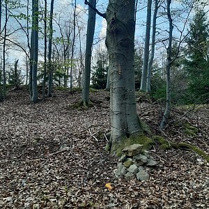 ZdenkaV na vrcholu Červenec J vrchol (28.4.2022 16:38)