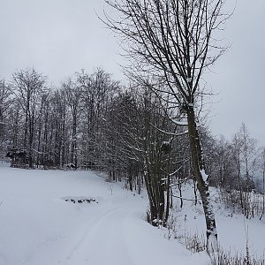Marcela Kubíčková na vrcholu Červenec J vrchol (21.1.2023 11:20)