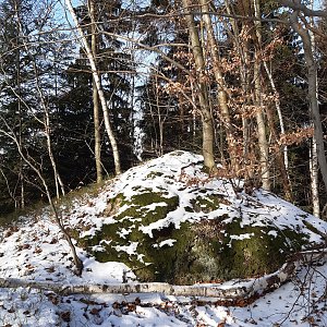 ZdenkaV na vrcholu U Vašutků S vrchol (9.1.2022 11:04)