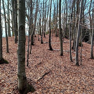 PA!WELL na vrcholu U Vašutků S vrchol (8.1.2023 12:20)