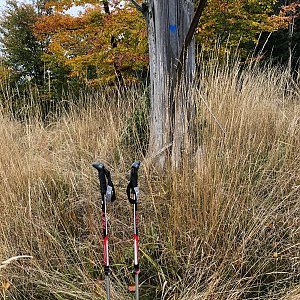 Radka D na vrcholu Rožnovský vrch JV vrchol (11.10.2022 11:37)