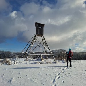 Horalka Anička on the summit of Slavkovský vrch (4.1.2025 14:15)