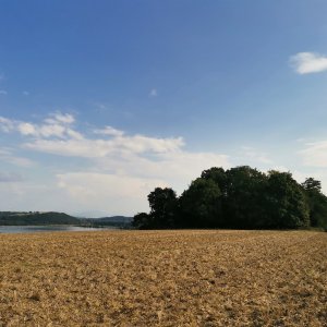 Šárka na vrcholu Na kopci (18.8.2023 17:00)