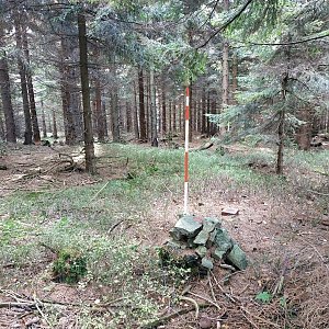 krupjan na vrcholu Hřebeňák (15.10.2019 10:27)