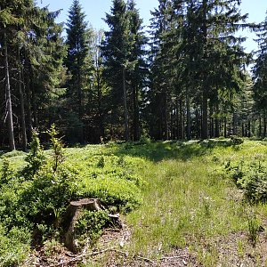 krupjan na vrcholu Hřebeňák (14.7.2020 15:21)