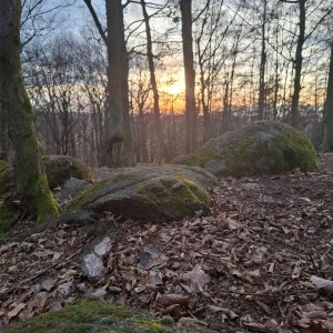 MonikaR na vrcholu Kuřimská hora (12.3.2025 17:23)