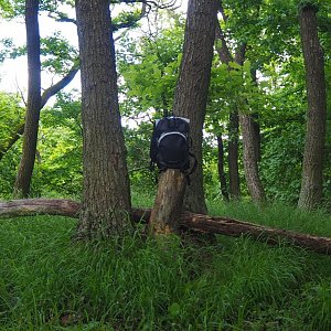 Jiřina na vrcholu Březina (22.5.2021 15:51)