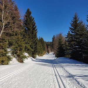 vendulka111 na vrcholu Palaš (9.3.2022 12:00)