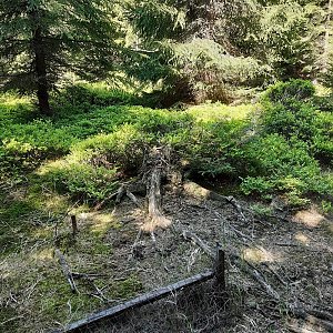 ZdenkaV na vrcholu Palaš (3.6.2022 10:00)