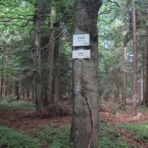 ZdenkaV na vrcholu Bílé kameny (9.9.2025 14:40)
