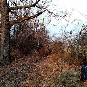 Jiřina na vrcholu Dřínová hora (19.3.2022 17:00)