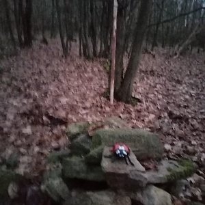 Jiřina on the summit of Vápenice (29.11.2022 16:23)