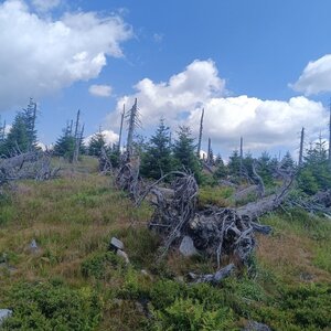 Petr Švejnoha on the summit of Vysoký hřeben (21.7.2024 12:18)