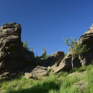 Kaktus na vrcholu Obří skály (18.6.2022 17:32)