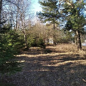 D3etre na vrcholu Goethův vrch (28.2.2021 14:48)