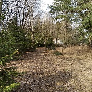 D3etre na vrcholu Goethův vrch (9.3.2021 12:22)