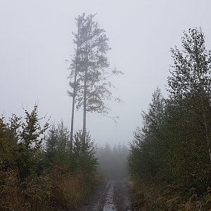 Marcela Kubíčková na vrcholu Chumchálky - V (30.9.2022 15:15)