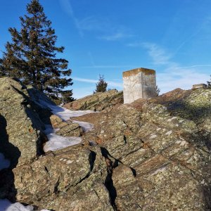 Šárka na vrcholu Bradlo (30.1.2025 11:01)
