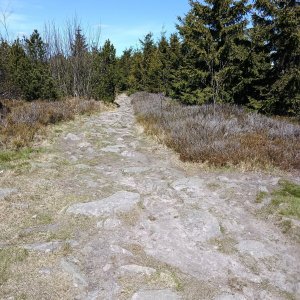 Ivo na vrcholu Bradlo (27.4.2026 12:17)