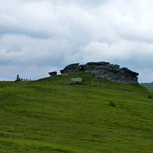 Bílá Opava - Ovčárna - Vysoká hole 2013