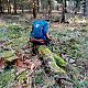 Jiřina na vrcholu Lemešná Z vrchol (15.11.2021 12:40)