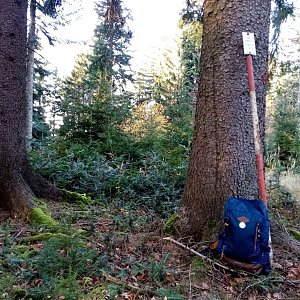 Jiřina na vrcholu Buřanov (15.11.2021 14:11)