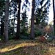 Jiřina na vrcholu Buřanov (15.11.2021 14:11)