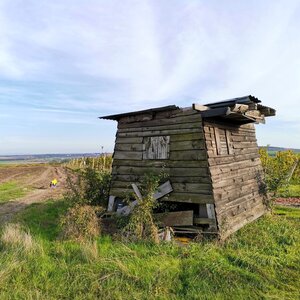 Šárka on the summit of Hůrka (19.10.2024 15:21)