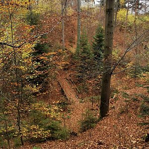 Vendula Schafferová na vrcholu Roubenka Ondřejníček (14.11.2020 14:57)
