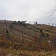 Vendula Schafferová na vrcholu Roubenka Ondřejníček (14.11.2020)