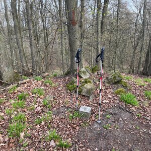 Radka D na vrcholu Brusnice (31.3.2024 10:25)